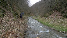 panjica29